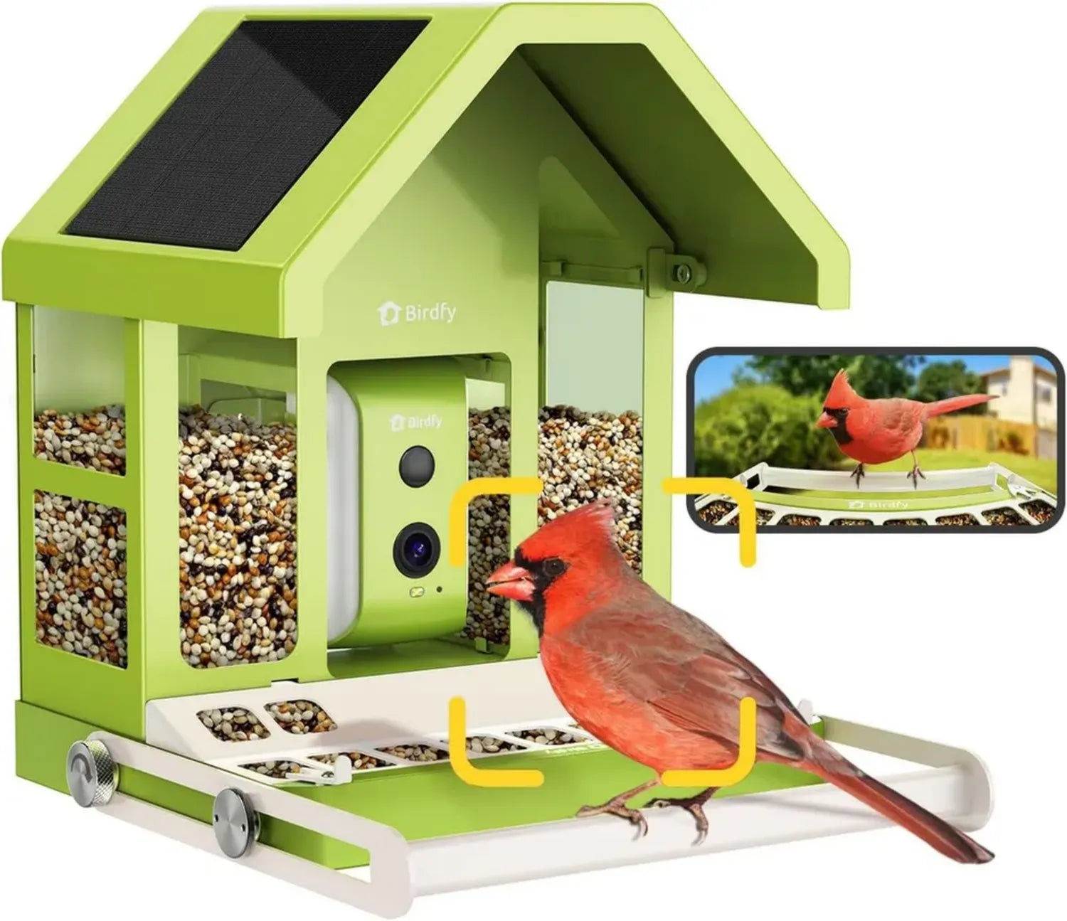 Vogelfutterhaus mit Kamera, KI-Erkennung, 1080P, Solar, Echtzeit-Alarm